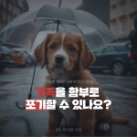 [ī崺] å  ݷ ׸ȣ ȭؾ  