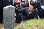 蹮,  Ż硤ѵ  