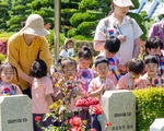 Ȧ   Ƶ,  翡   ޶