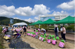 屺 öó,  850 Բ  Թ ü衯 