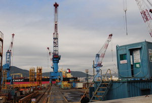 '�����' ������ 85ȣ ũ����