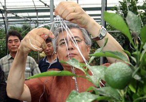 ������,  �뼱 �漱 �ἱ��ǥ�� ����