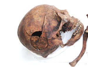 ������ ���� ���� ���������ȸ 