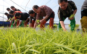 °ÃßÀ§ ¸ô¾ÆÄ¡´Âµ¥ À¢ ¸ð³»±â¡¦¿ÃÇØ ù ¸ð³»±â ¹«½¼ ÀÏÀÌ?