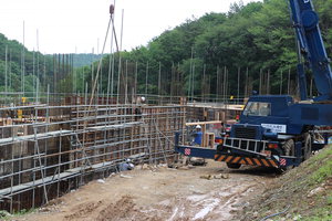 Æí¹é½£ »ì·Á »çÆÄ¸®¿Í Á¶È