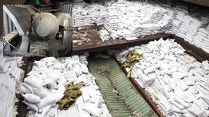 ¼³ÅÁ Æ÷´ë ¾Æ·¡ ¹Ì»çÀÏ ¼û±ä ºÏÇÑ ¼±¹Ú