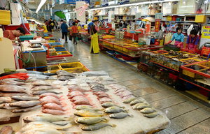 ������ ������ ��¦ ���䡦���� �Ҿȿ� �䷷