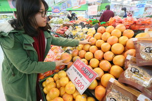 �Ϲ� �̻���� ���� ���԰��� ���� �ܹ���