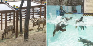 ¾î¸°ÀÌ Ä£±¸µé, °ð ¸¸³ª