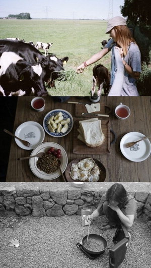 ÀÌÈ¿¸® ºí·Î±×, ÀÌ»ó¼ø°ú Ⱥ¸ °°Àº Á¦ÁÖµµ ½ÅÈ¥»ýȰ °ø°³