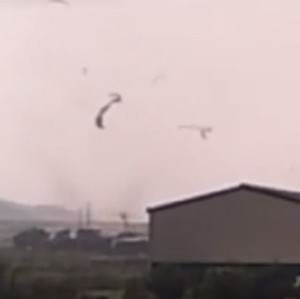 �ϻ� ����̵� '�����'?��13�ϱ��� õ�� ����, ��� ���ɼ�