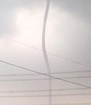 ���� �������� ���� �ϻ� ����̵����Ŵ��� ȸ����, �̱� ����̵� ��ư���?