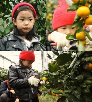 '���۸��� ���ƿԴ�' ���Ϸ�, �мŴϽ�Ÿ ���� ���� ��ء��������� ���� ���� '����'