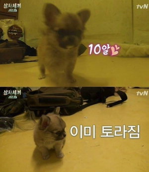 Àå¸ðÄ¡¿Í¿Í »êü, »ï½Ã¼¼³¢ ¼ÕÈ£ÁØ »ç¶û µ¶Â÷Áö¡¦¸¸³Áö 10ºÐ ¸¸¿¡ »Ç»Ç ¼¼·Ê