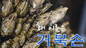 '»ï½Ã¼¼³¢ ½Åµå·Ò' ½É»óÂú³×¡¦°ÅºÏ¼Õ ã¾Æ »ï¸¸¸®