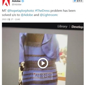 �巹�� ���� ����, �Ķ�+���� vs ���+�ݻ� 