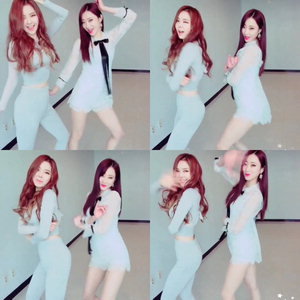 ���ڶ� ȿ��-���ι����� �渮 ������, �Ϳ���+���� '��û��' �ȹ��� ���� ������