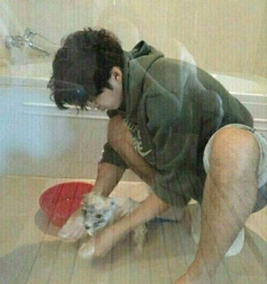 �����, �������� �������� 