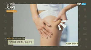 '³¯¾ÀÇÑ µµ½Ã¶ô' ÇʶóÅ×½º °»ç ¹ÚÃÊ·Õ,