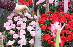 <���� ����̳�> ���л� ȿ���� ����ϴ� ���� 1����?���ְ��� ȿ���� '���'