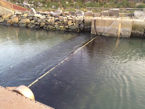 ���� ���ŵ��� ��õ ����� ����