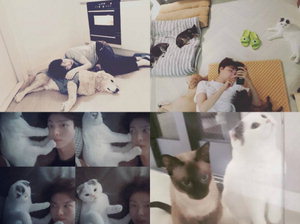 '��ȥ�ϱ�' ������, �������������� �ݷ������� �Բ� ����ڸ �˳�