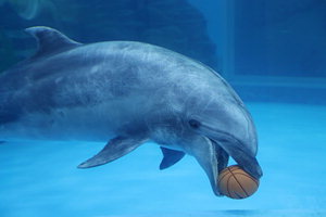 ������ �� �ܱ� ���� 52�� �츮�� ǥ�� �̸� ������