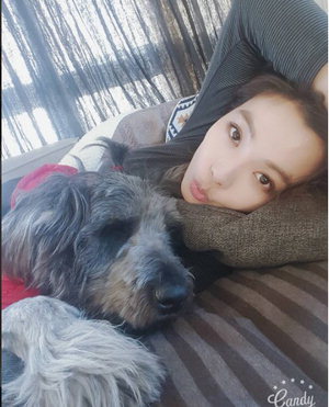 ������, ������ 5�� ������ġ �ø���