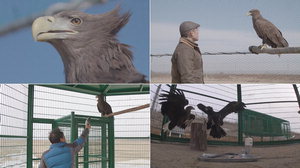 �������弭 õ����买 �򲿸����� �߻��� ȸ�� ������Ʈ �Ұ�