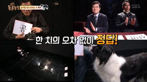 [��������] ���� �˾Ƹ����� õ��� ��Ű, ���� ������ õ��� 'ü�̼�' ���� �ʾ�