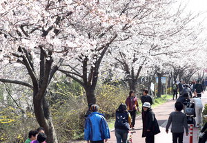 [�λ곯��] ���� ����...�� �ְ� 16��...�̼����� �� ���� ����