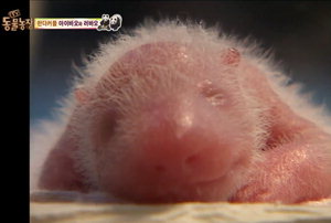 �������� ���� ���� �Ǵ� 2�� ����� ������Ʈ ����...���̹ٿ� ���ٿ� �츮 �ٲٱ�, ���� ������, ����� �Ÿ����� ü��