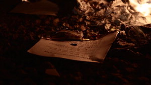 �̱Կ��� ����Ʈ����Ʈ, ���� ���� ��Ϲ� ���� ���� ����