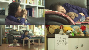 '��������' ���󿡰� ���� Ư���� ��¦, �迵�� ���� �ݷ��� '������'�� �̾߱� �Ұ�