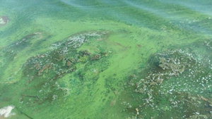 ������ ù ������ȯ���ü 