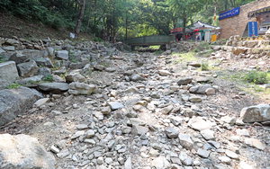 [��������] ������ ź���� '����'