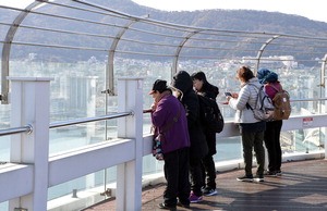 �߱��� ���� �˹� �ø��� ���˸�����(�߱� ���ڰ���)�� ���ԡ� ������ ��õ�