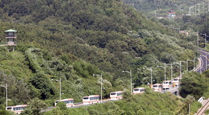 ����Ӵϰ� ���ϸ��� ���ϵ� �� ��� �������� ��ī ������