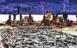 [WIDE SHOT] ���������, �λ��� �������� �����