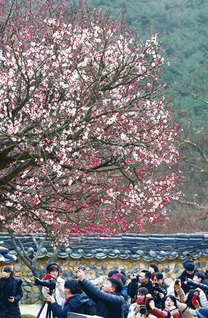 [WIDE SHOT] ������ ��ȭ�����ͼ� ź��, ����� ź��