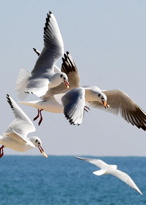 [WIDE SHOT] ������� ���⡯ �ű��ص������ű⿡�� �� �����