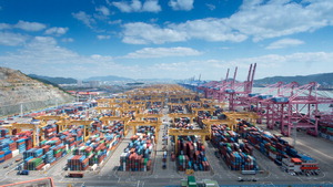 ������ �ؾ� ������ ���� �λꡦ���嵿�¡���å �����Ѵ�