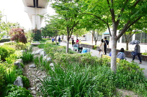 �λ��� ����ģȭ ���÷� <26> ��� �ϰ����󰭼����