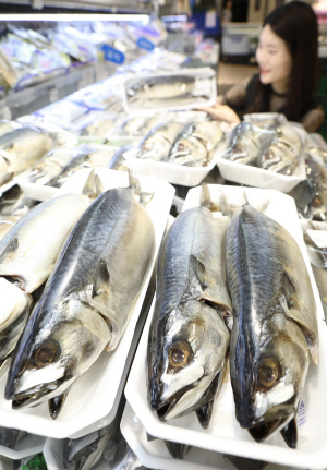 �Ե���Ʈ 10�ϱ��� ���ް� 3 ��� ����� Ư��