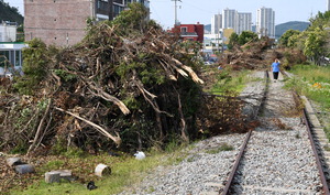 �󼱺��� ���� ���� ���� ȯ���Ѽ� ����