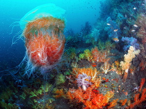 �ؿ���ؼ����� ���� �빫���Ա����ĸ� ����