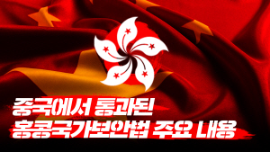 [�׷���]��ȫ�Ẹ�ȹ��� ��� ��鸮�� �ϱ�������ڸ���� ���� �ְ���