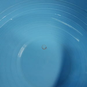 �λ꼭 ������ ���� �ǽɽŰ� �� 19�ǡ��Ϸ� �� 8�� �߰�