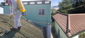 ������Ʈ ���� ���� ö��, �ڷγ��� ���� ��û ����