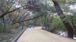 �Ȱ� ���� �� <104> ��� �뵵�� ��ǳ�Ѽֱ�